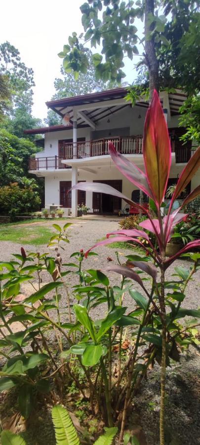 Breath House Hiriketiya Apartment Dikwella Exterior foto